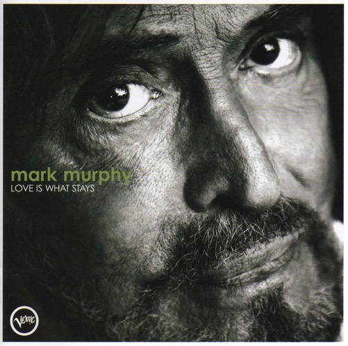 Mark-Stays416